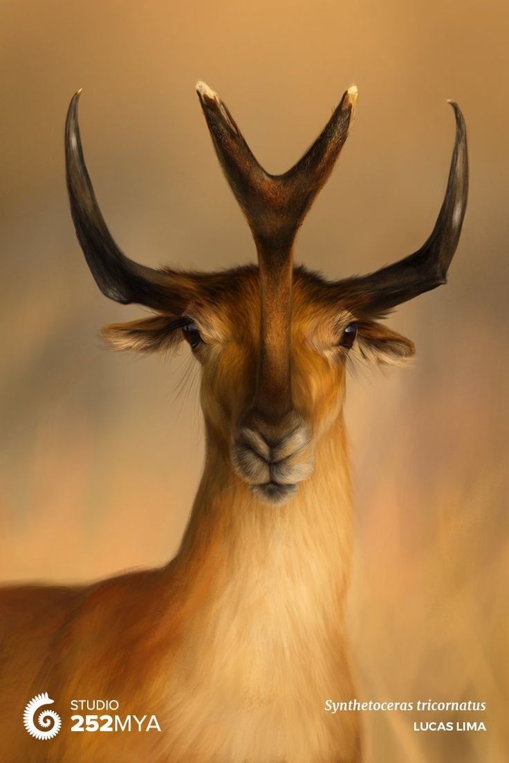 Необычные рогатые животные