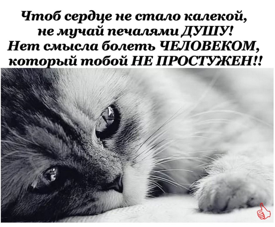 Грустное настроение с надписью