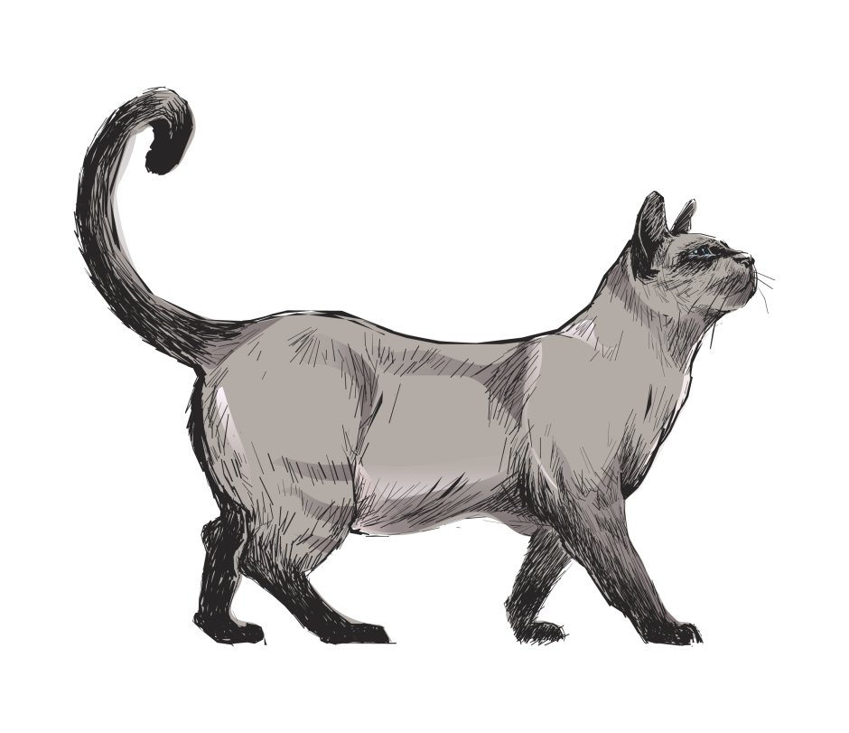 Кошки картинки Рисованные