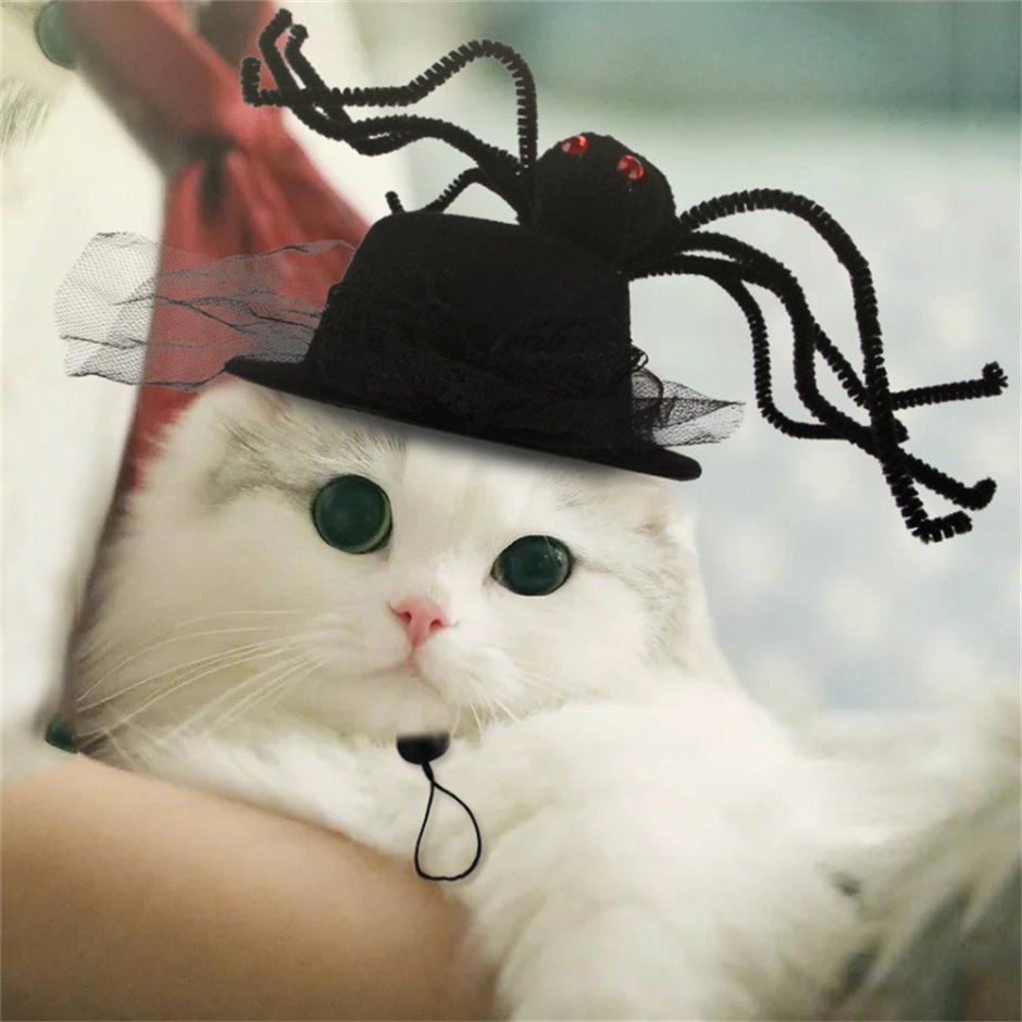 Кошка в шляпке