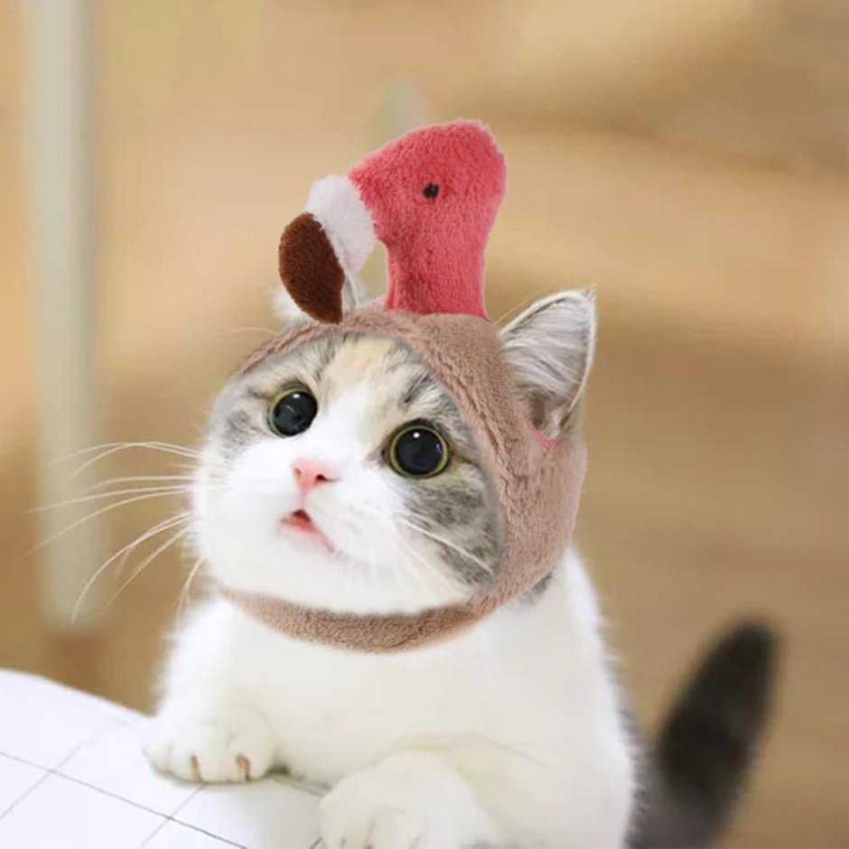 Милый котик в шапочке