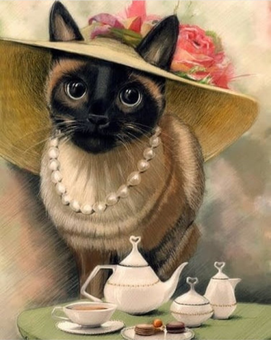 Котик в шляпке