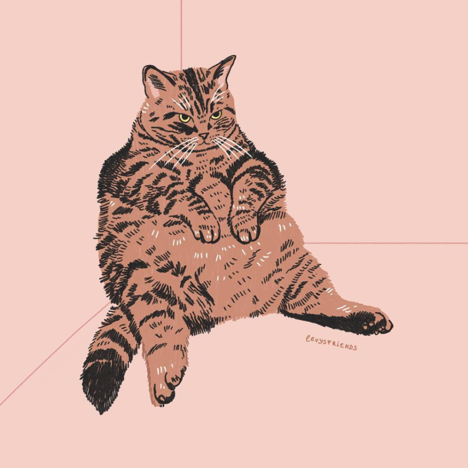 Толстый кот нарисованный