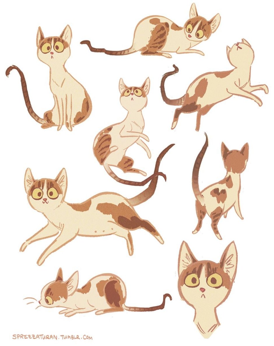 Кот референс