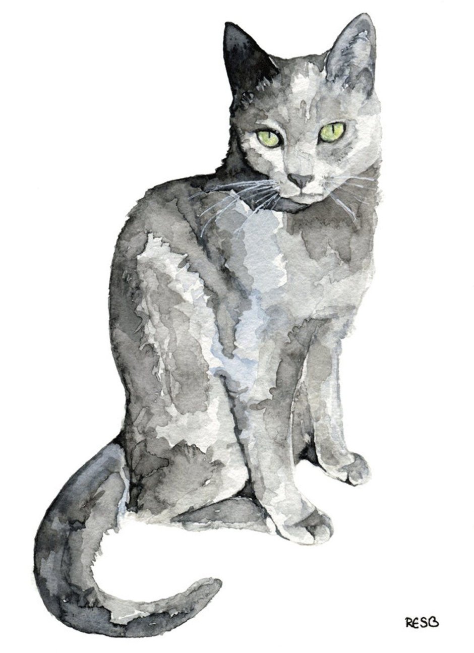 Кот акварелью