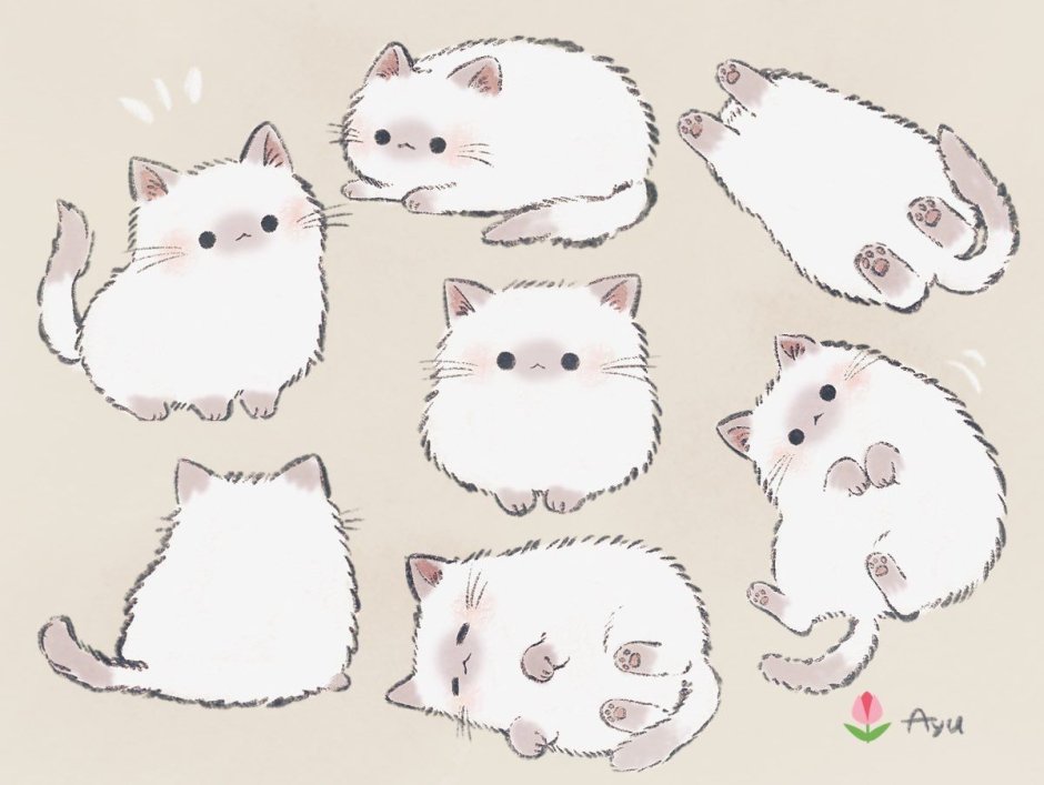 Милые котики рисунки