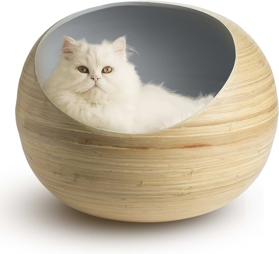 Бамбуковая кошка