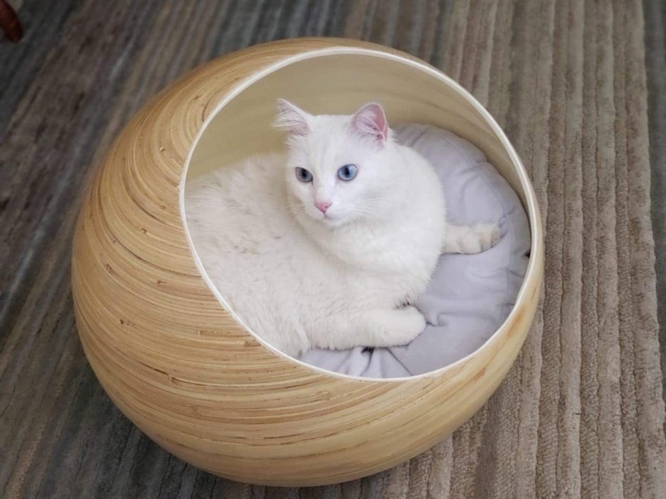 Бамбуковая кошка