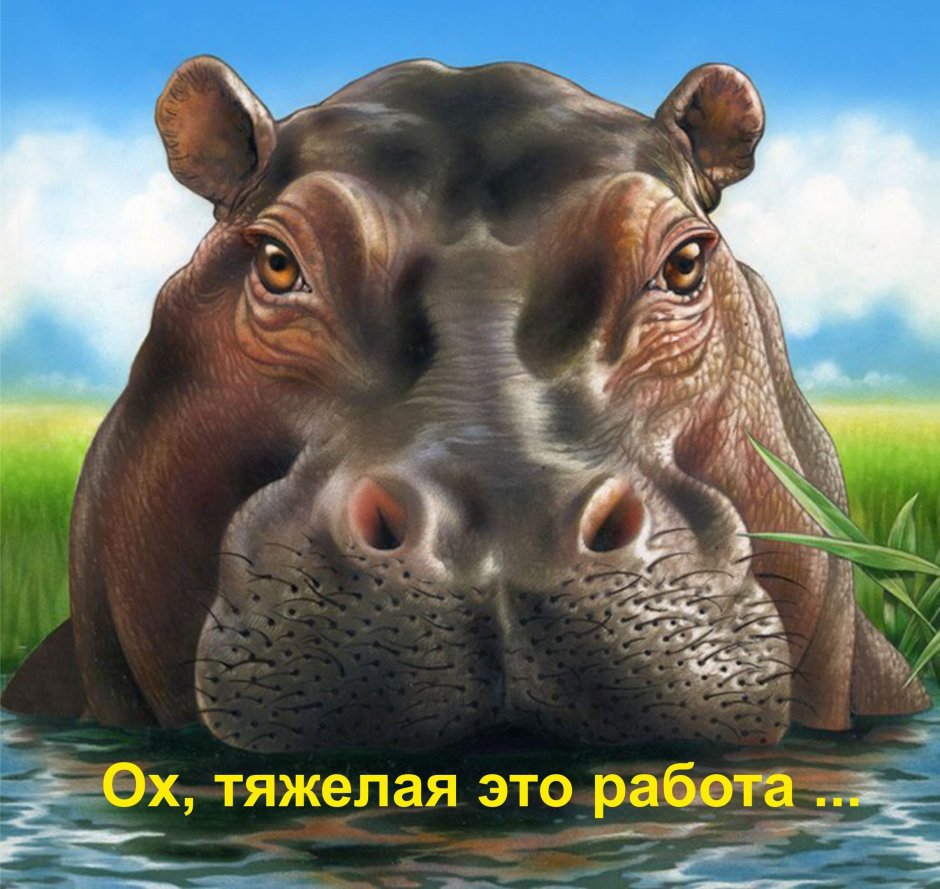 Гиппопотамы в живописи