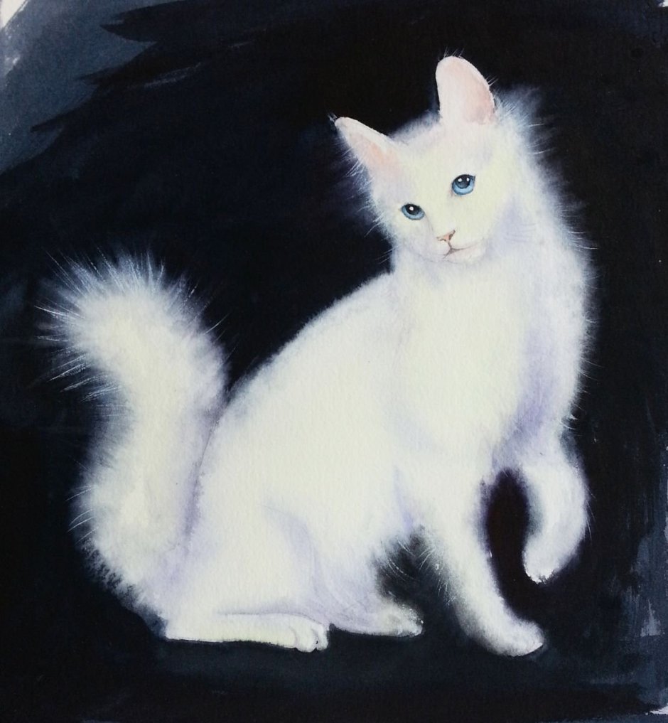 Ангарская Сиамская кошка ангорская кошка
