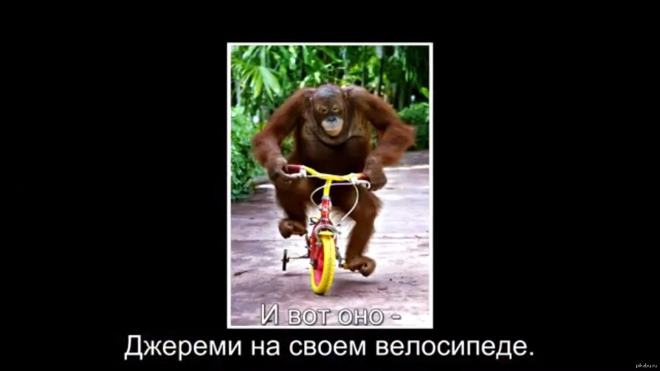 Рисование обезьянка в цирке