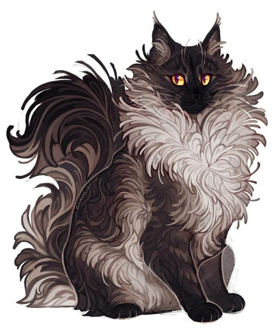 Коты Воители флаффи