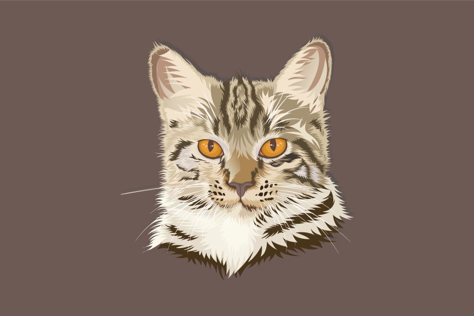 Девушка с котомом без лица