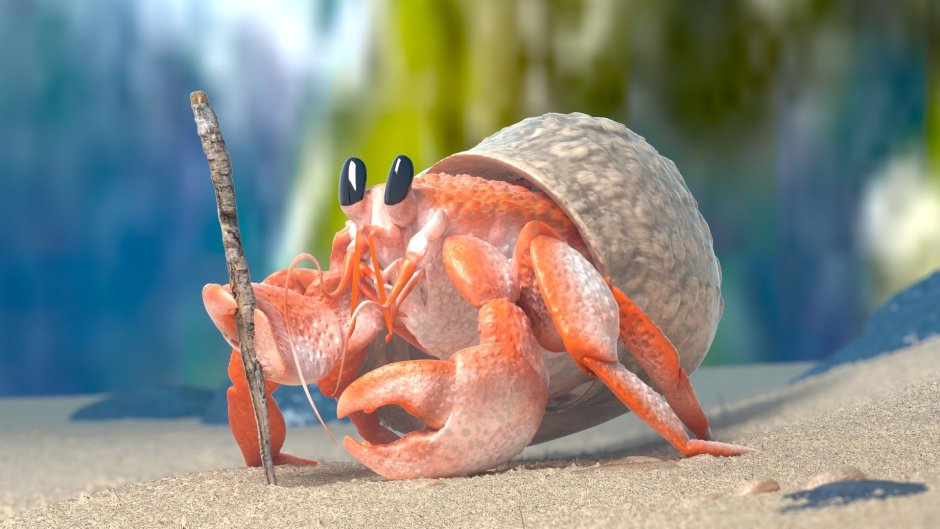 Hermes the Hermit Crab 8 стиль