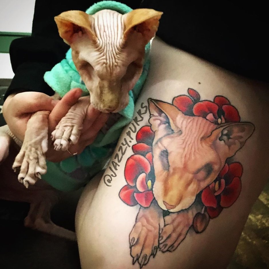 Jazzy сфинкс