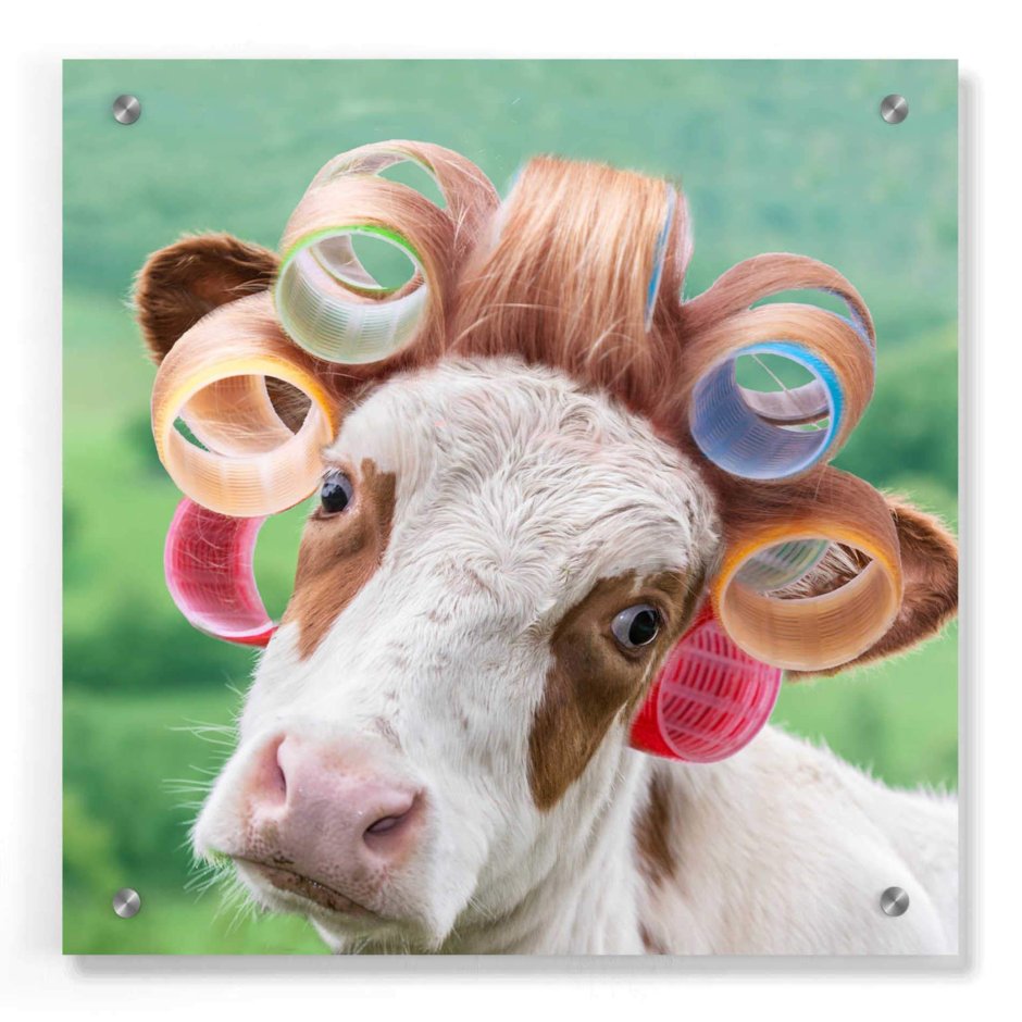 Забавная корова