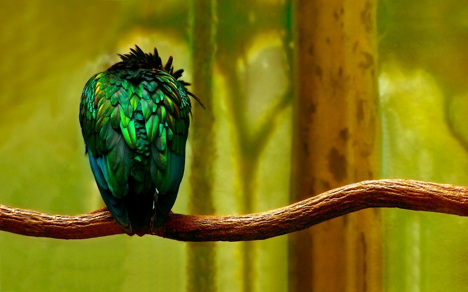 Изумрудные животные