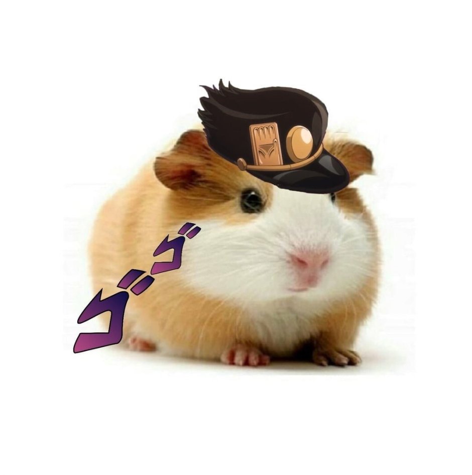 Хомяк Джотаро