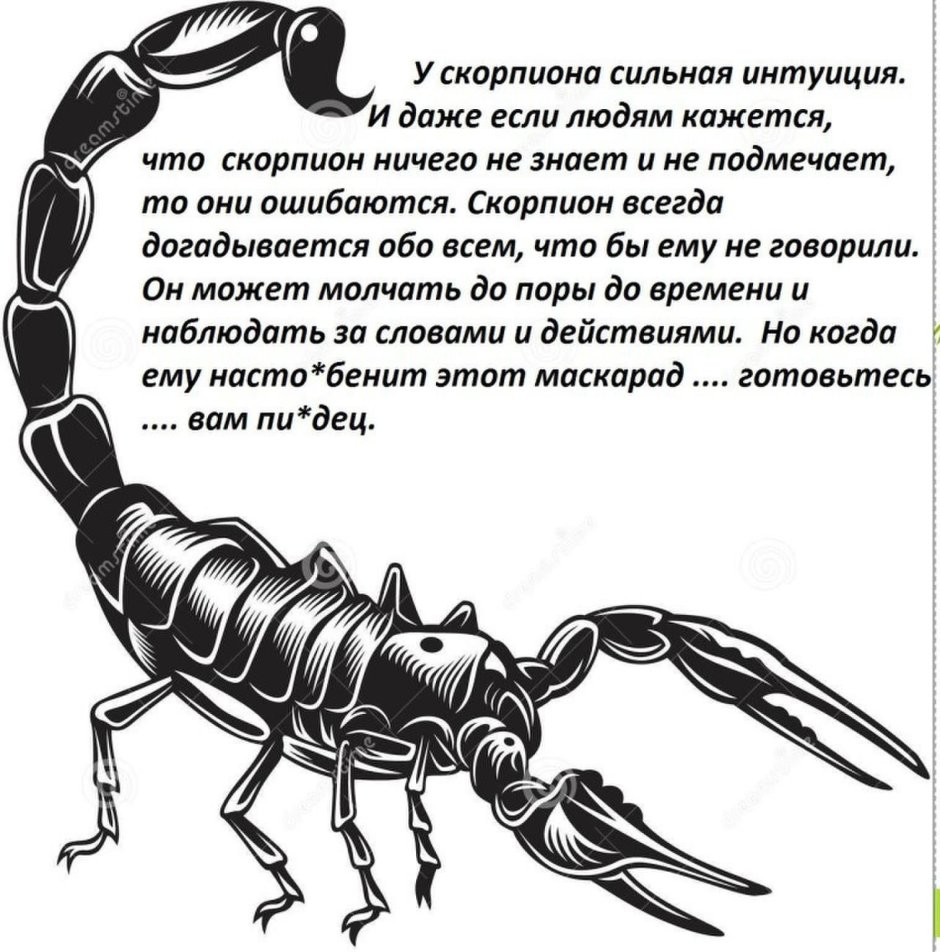 Афоризмы про скорпионов