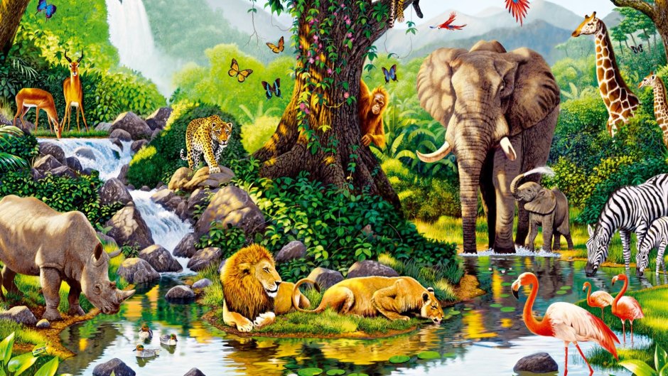 Мир животных и растений