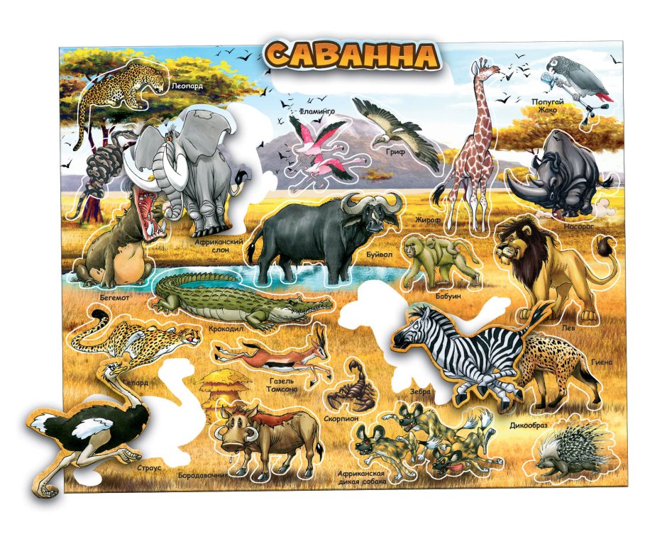 Пазл Larsen fh30 мир саванны