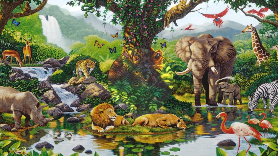 Джунгли с животными