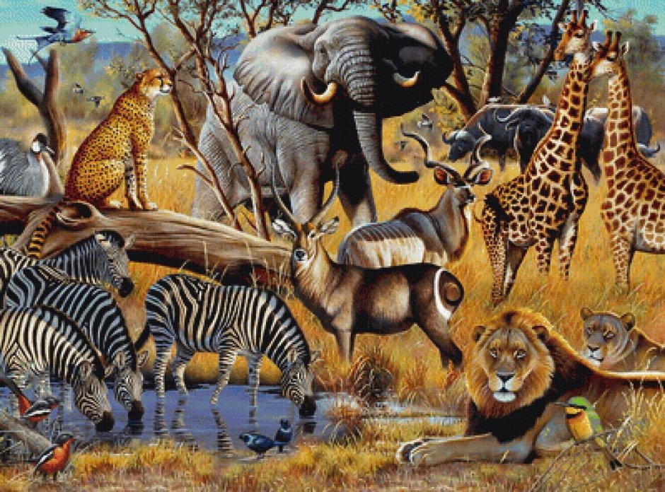 Животные сафари