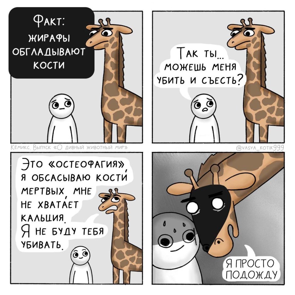 Жирафы пикабу