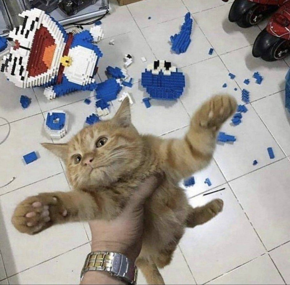 Всратые коты