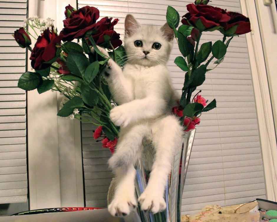 Котенок с букетом цветов
