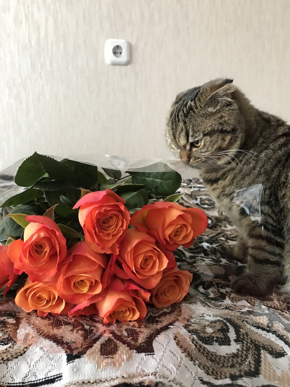 Котенок с букетом цветов