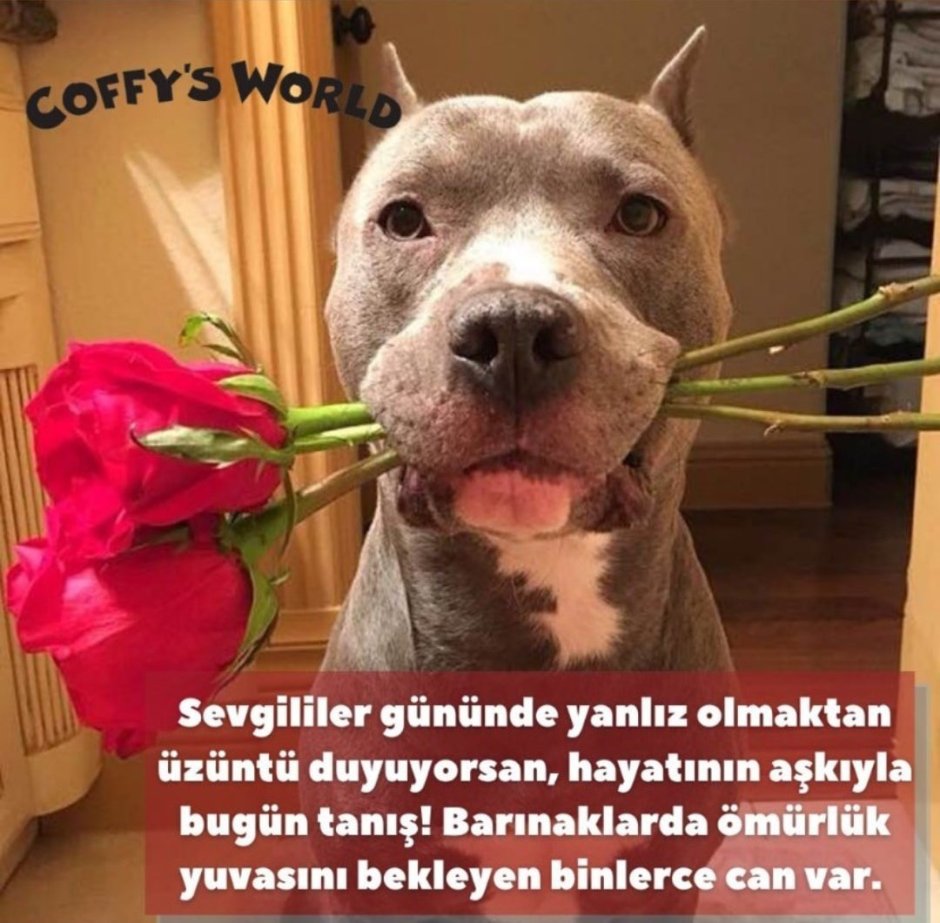 Прикольные стаффы