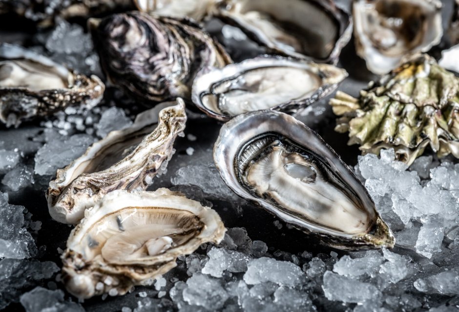 Двустворчатые моллюски устрицы