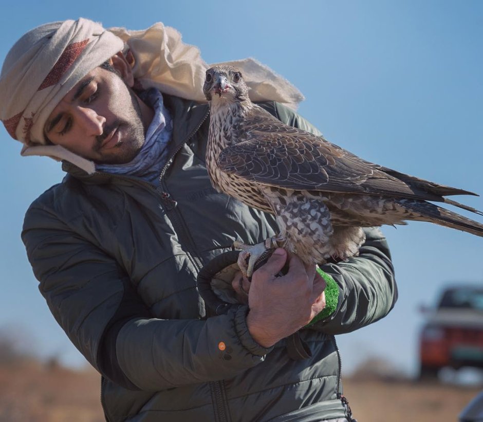 Дубай Шейх Хамдан охота в Узбекистане