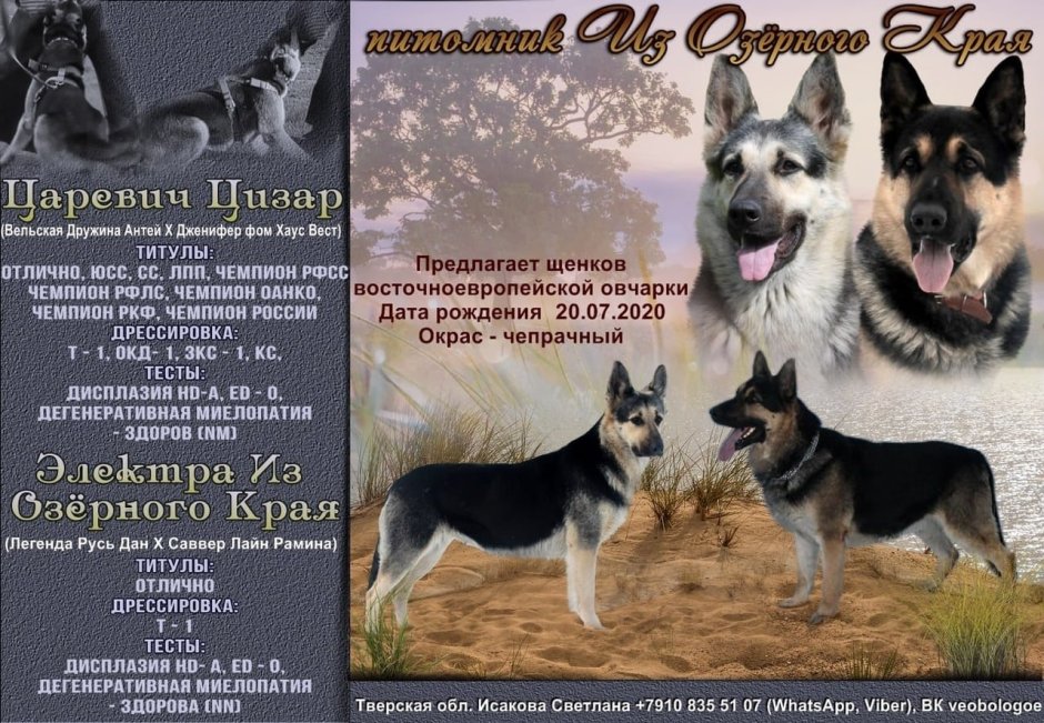 Презентация коьеля вер