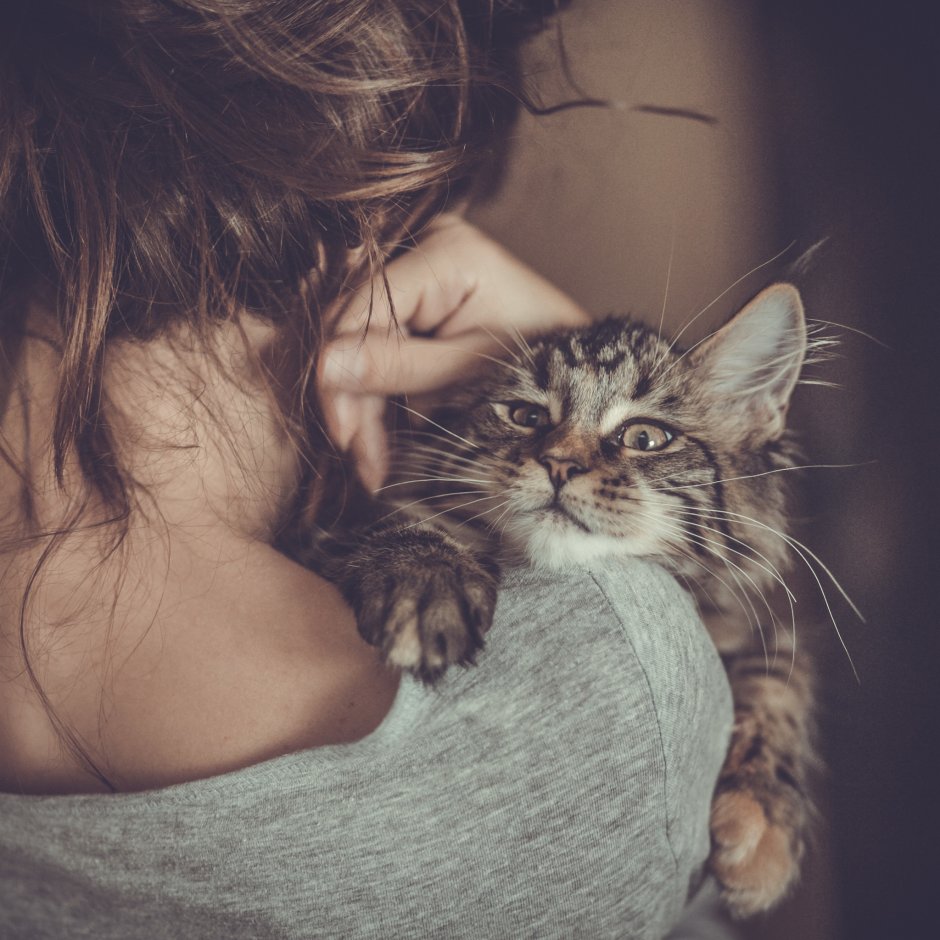 Девочка с котом на руках