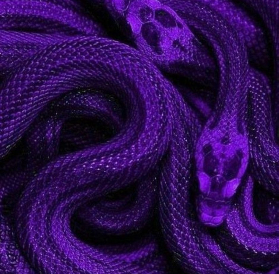 Фиолетовая змея