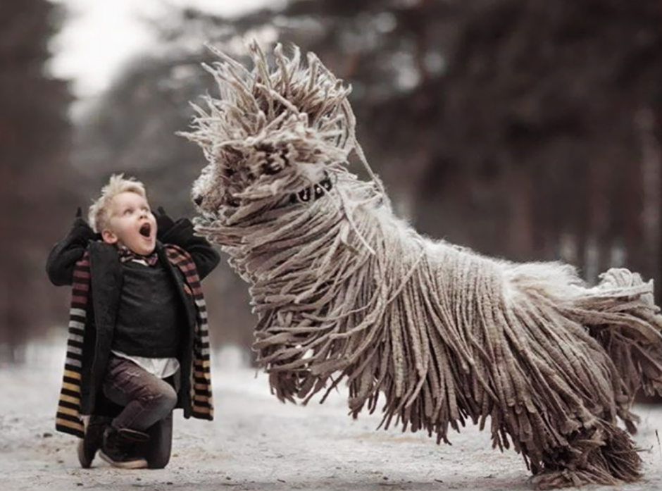 Энди Селиверстов фотограф