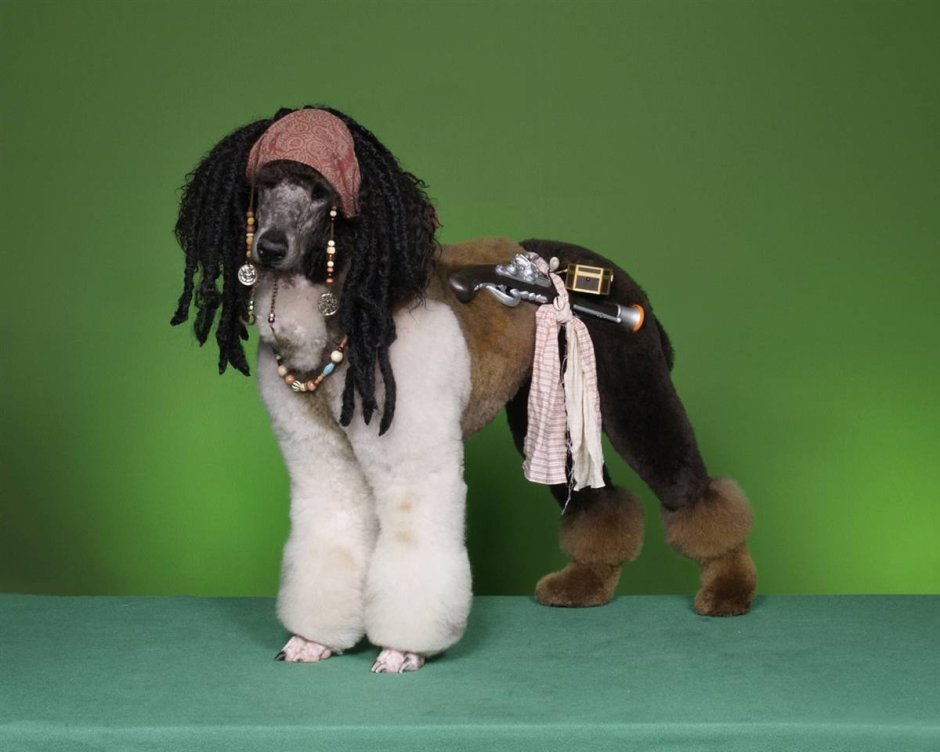 Собака Боба Марли порода