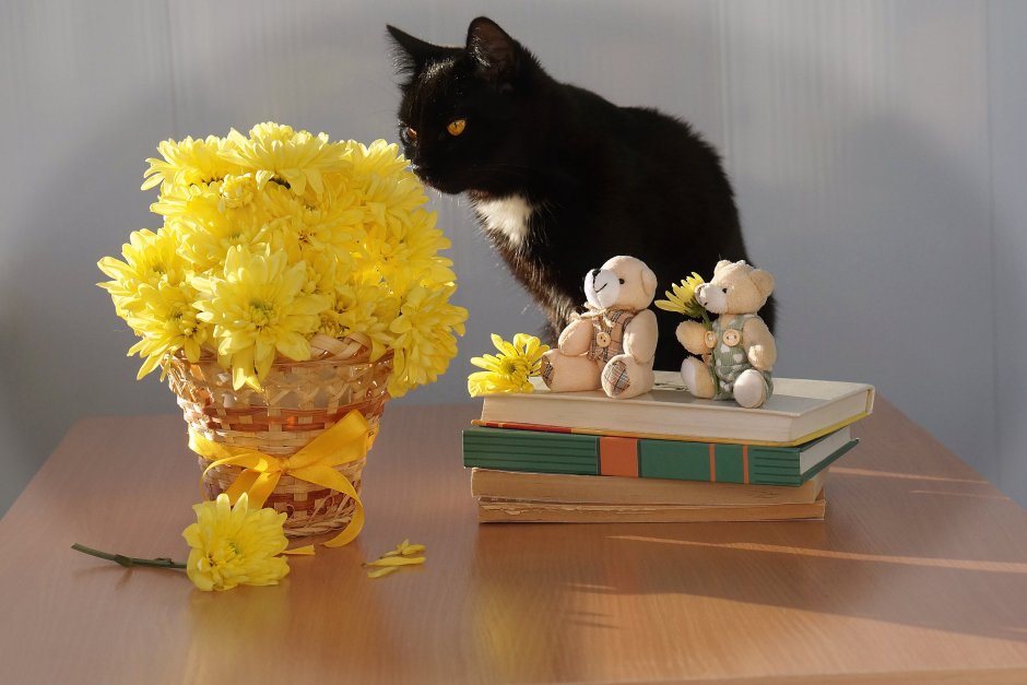 Букет котят