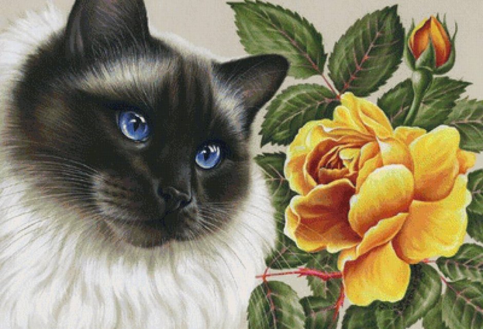 Ирина Гармашова коты