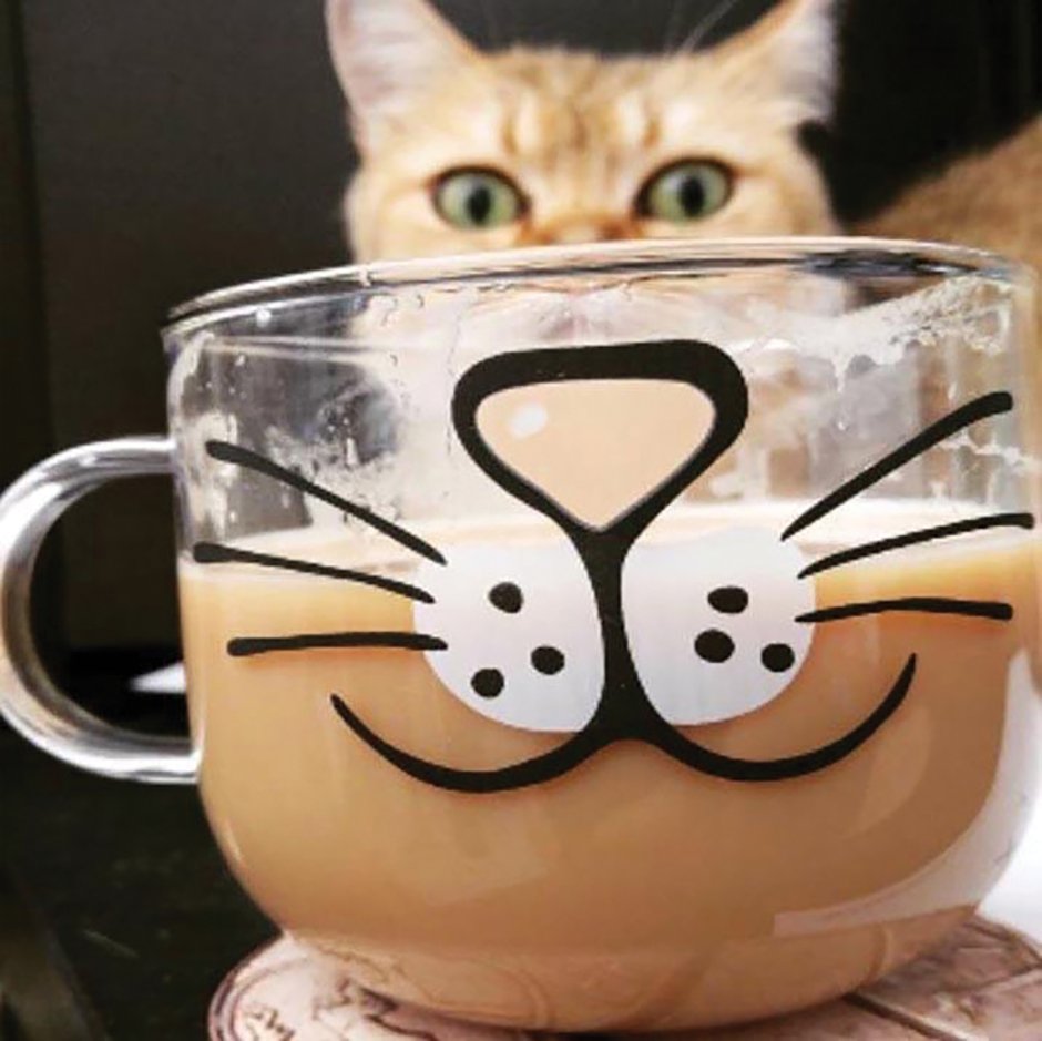 Кот прикольный с кружкой кофе