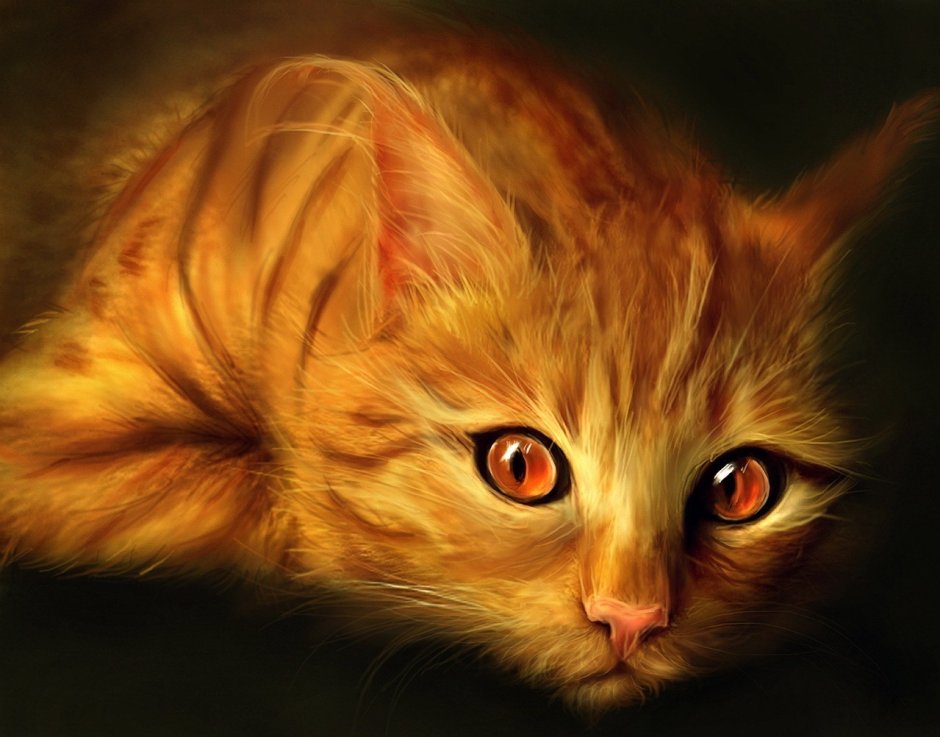 Кот рисунок