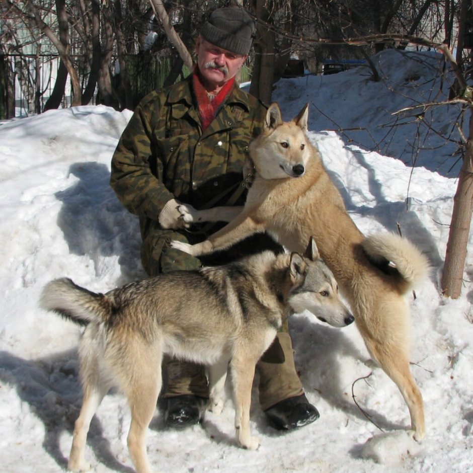 Казис Буошка