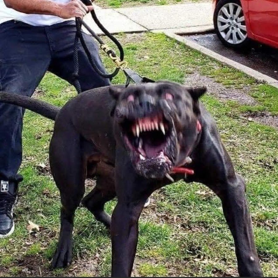 Не бойся она не кусается