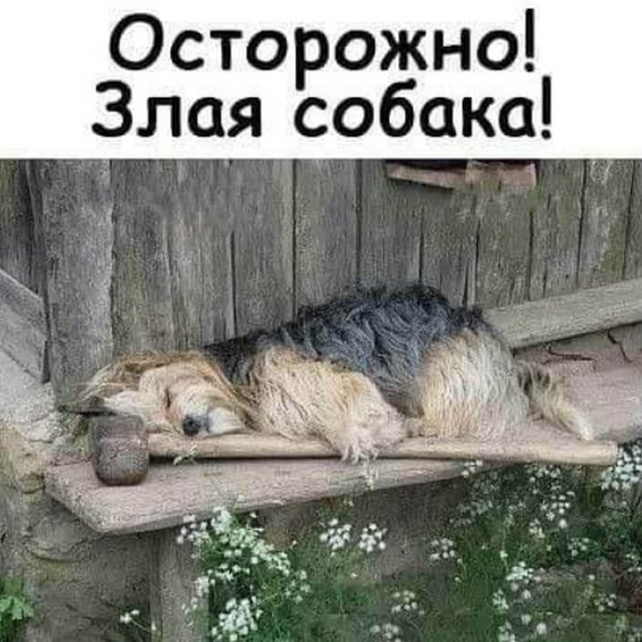 Осторожно злая собака с кувалдой