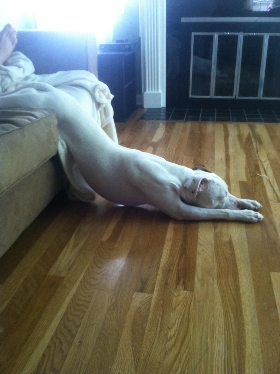 Не хочу вставать