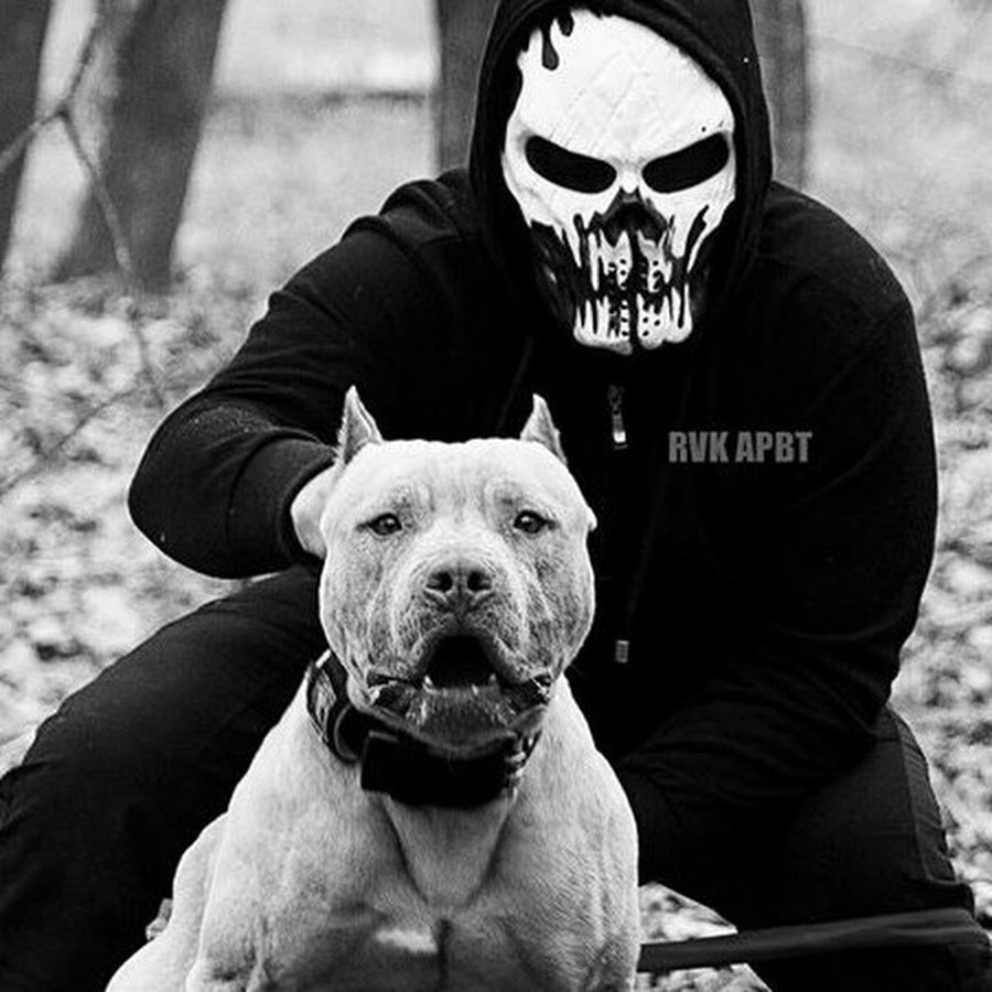 Парень в маске с питбулем