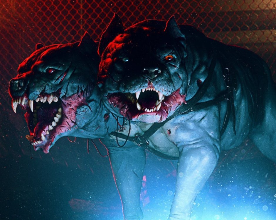 Цербер бульдог