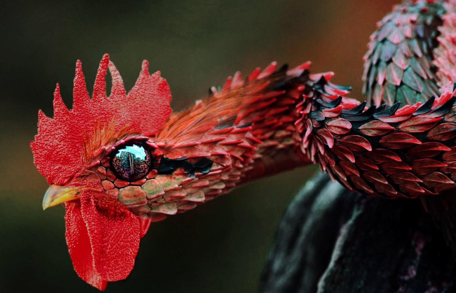 Hybrid animals красные факела